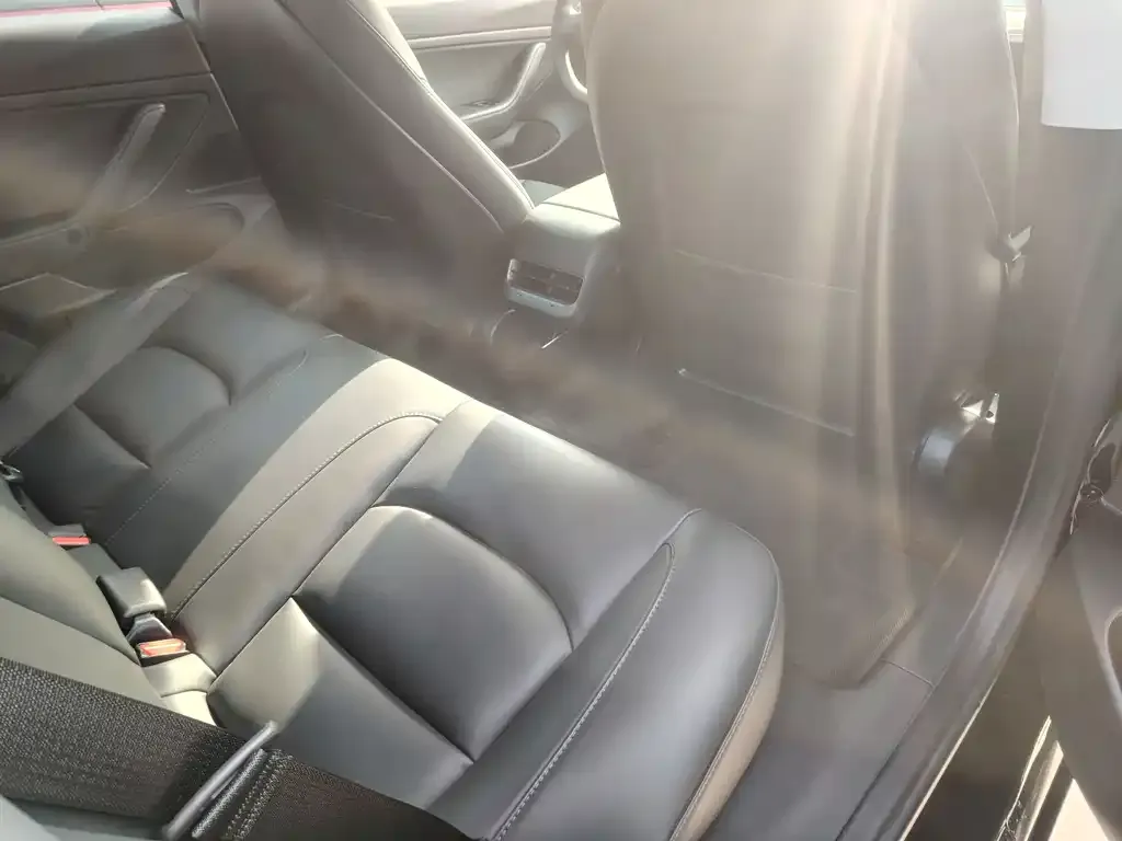 Tesla Model 3 2021 из CN, фото 6