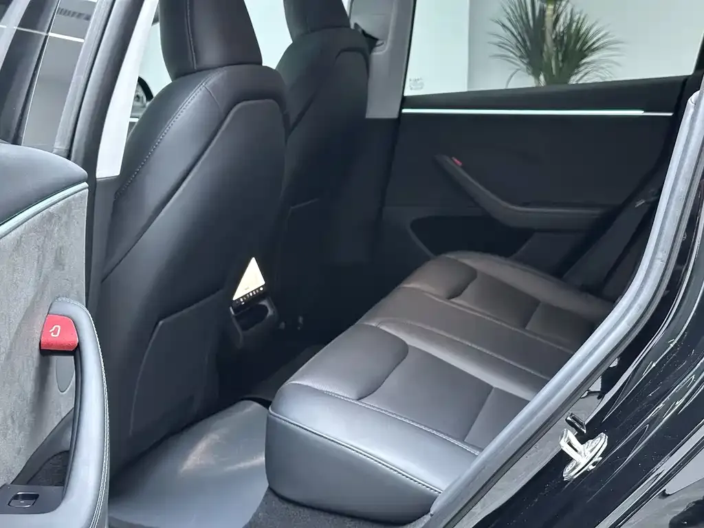 Tesla Model 3 2024 из CN, фото 8