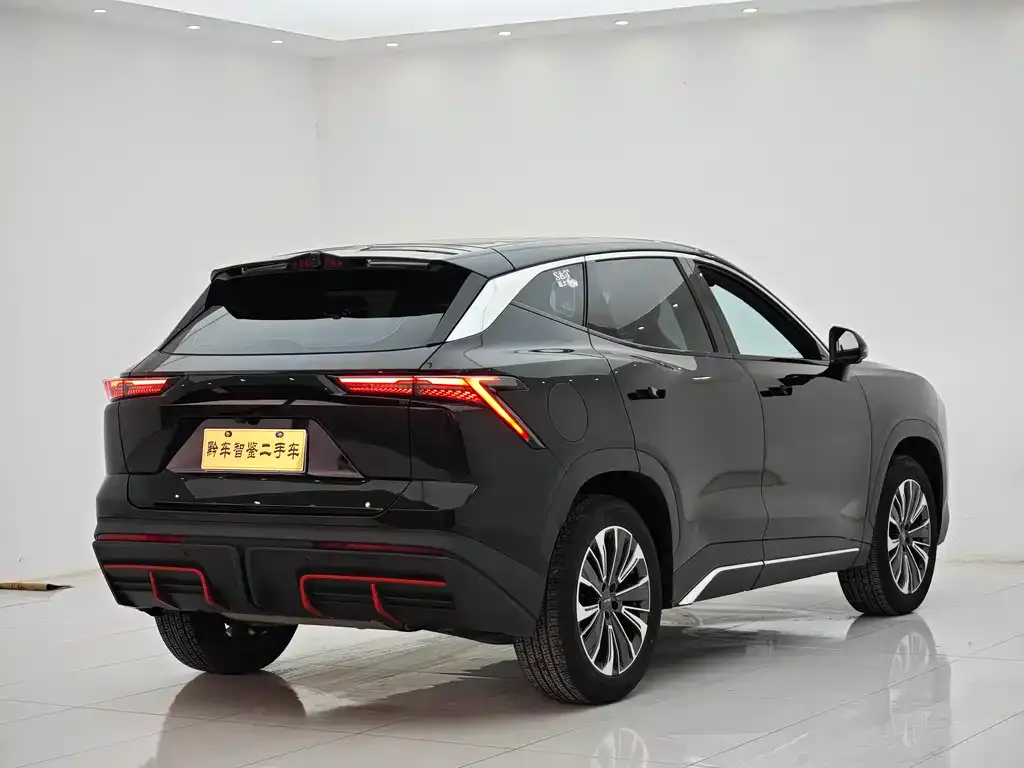 Jetour Dasheng 2024 из CN, фото 6