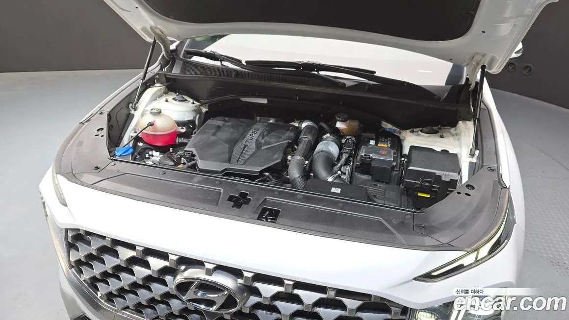 Hyundai Santafe 2022 из KR, фото 6