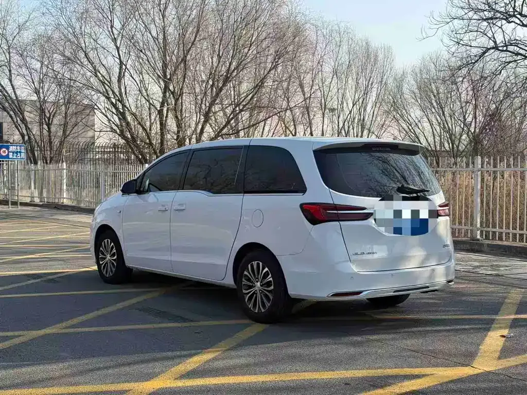 Buick GL8 2024 из CN, фото 9