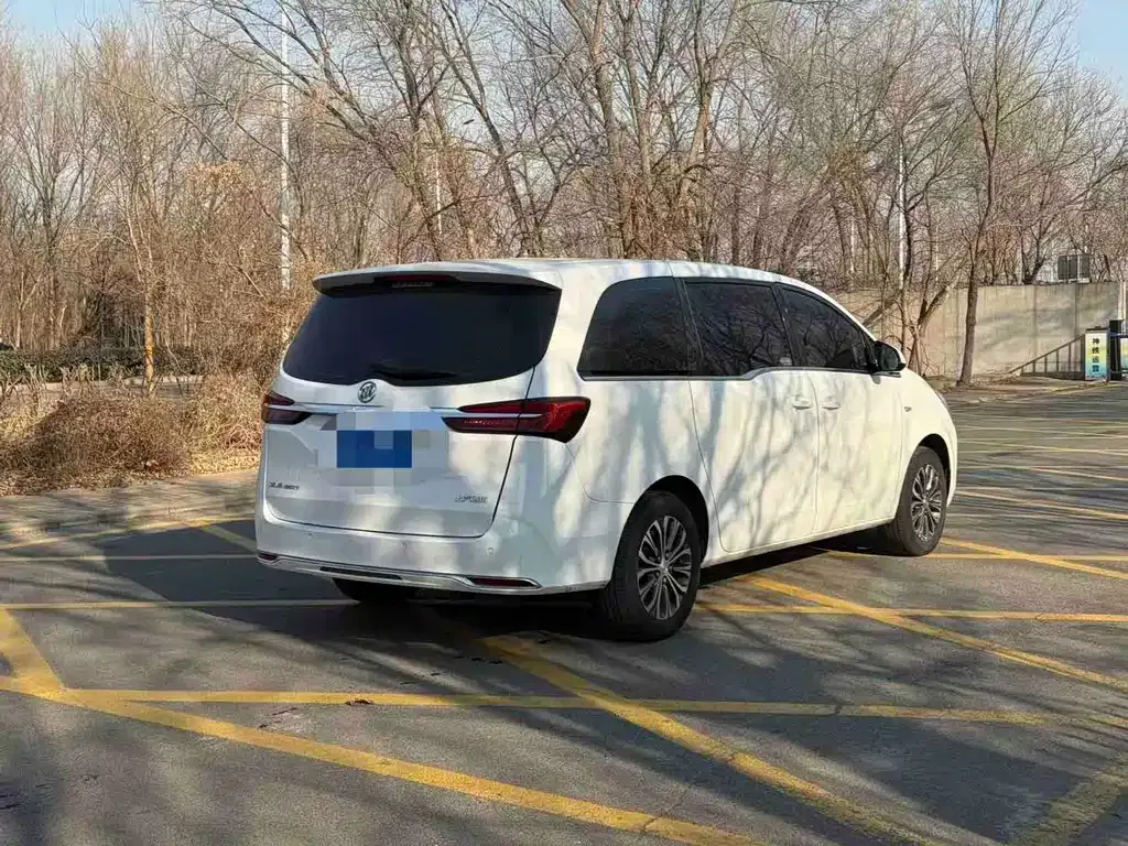 Buick GL8 2024 из CN, фото 7