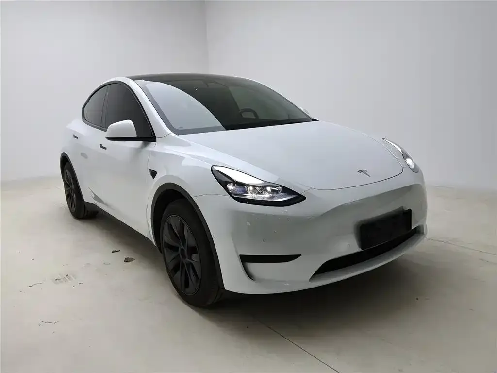 Tesla Model Y 2023 из CN, фото 2