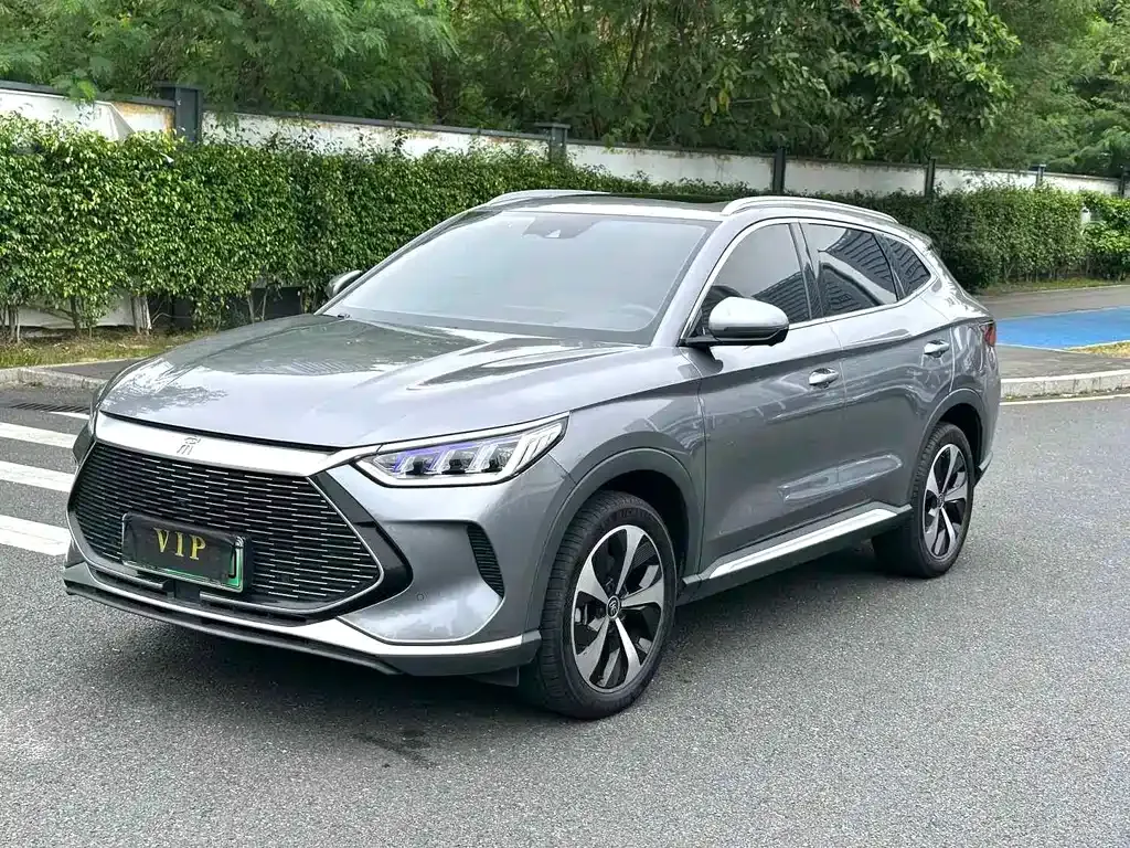 BYD PLUS New Energy 2022 из CN, фото 1