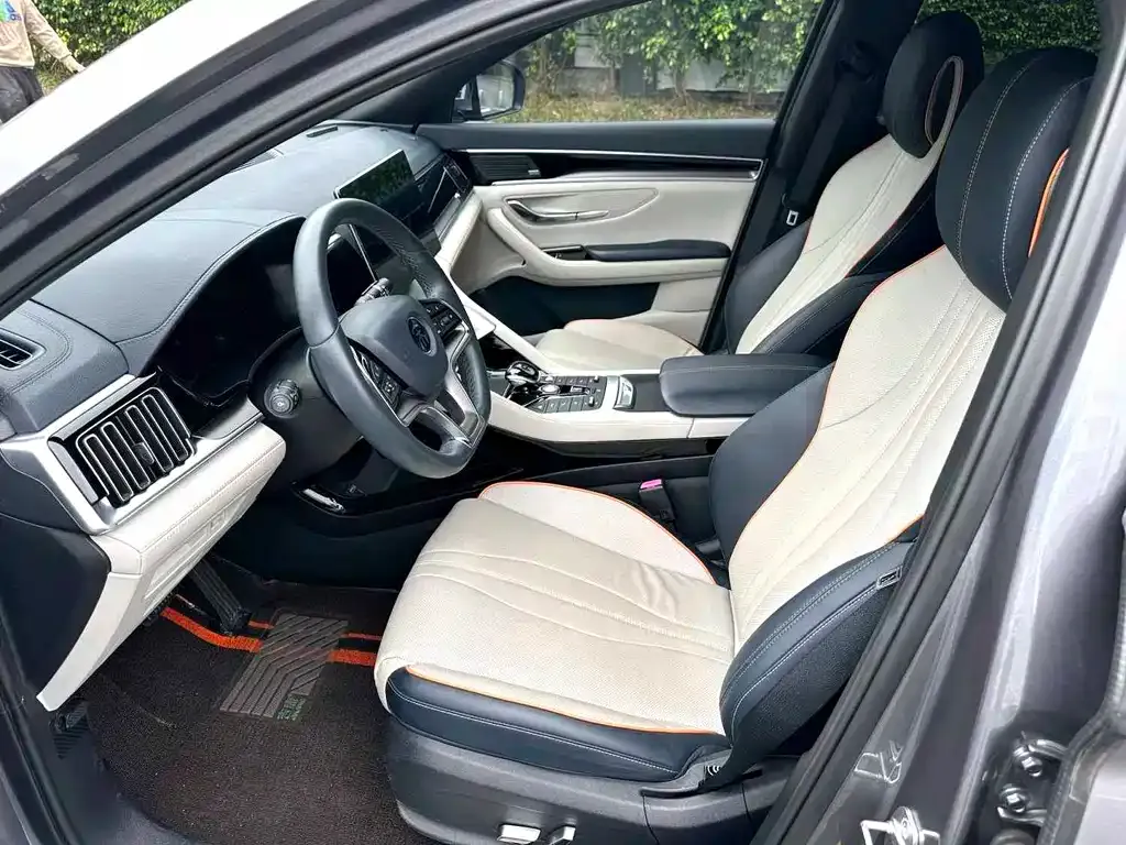 BYD PLUS New Energy 2022 из CN, фото 8