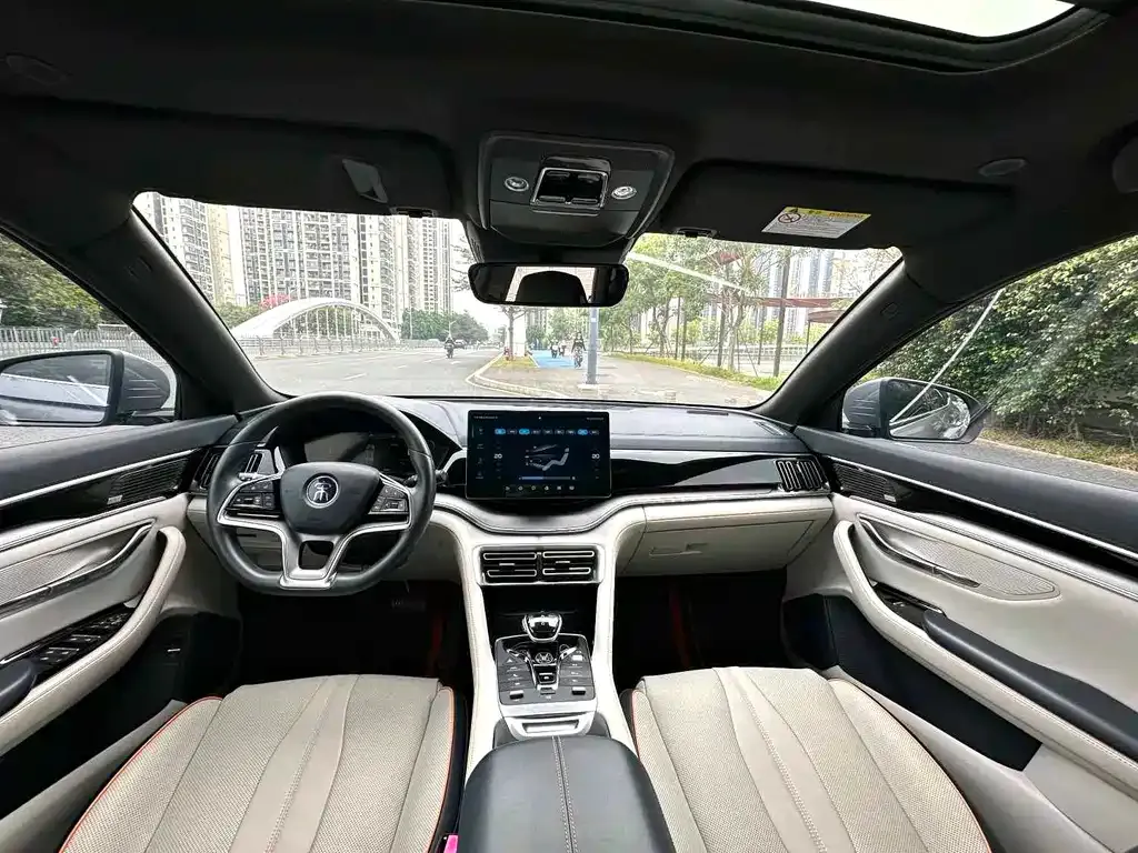 BYD PLUS New Energy 2022 из CN, фото 4