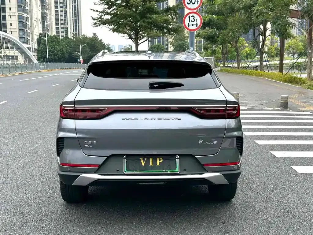 BYD PLUS New Energy 2022 из CN, фото 5