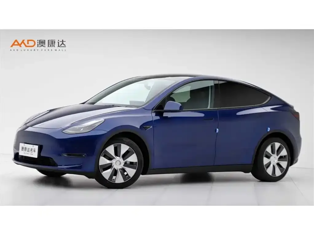 Tesla Model Y 2021 из CN, фото 1