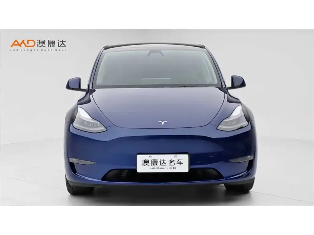Tesla Model Y 2021 из CN, фото 2