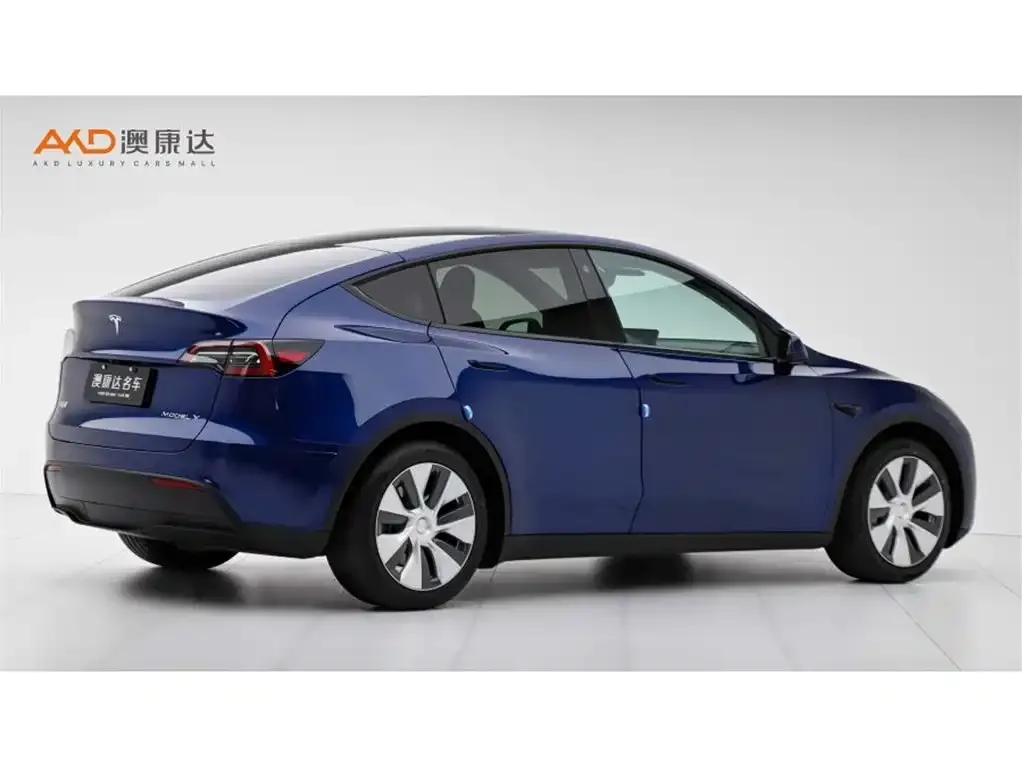 Tesla Model Y 2021 из CN, фото 3