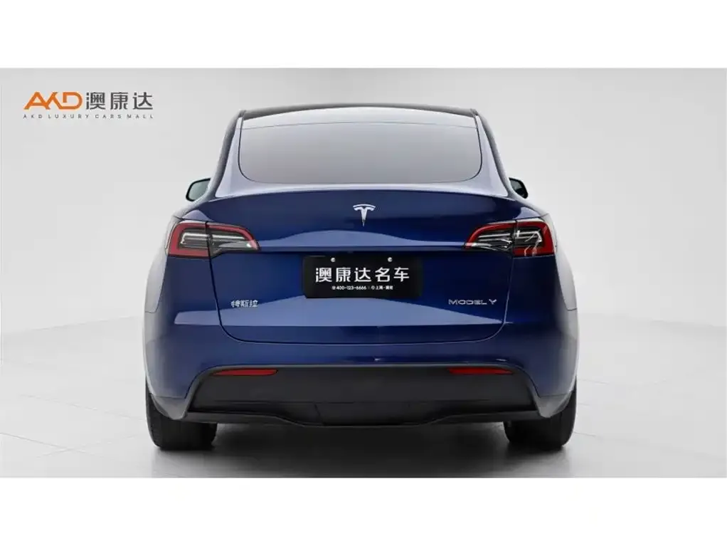 Tesla Model Y 2021 из CN, фото 4