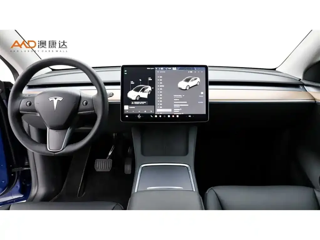 Tesla Model Y 2021 из CN, фото 5