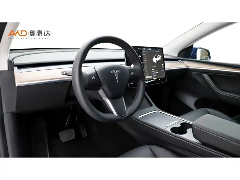 Tesla Model Y 2021 из CN, фото 6