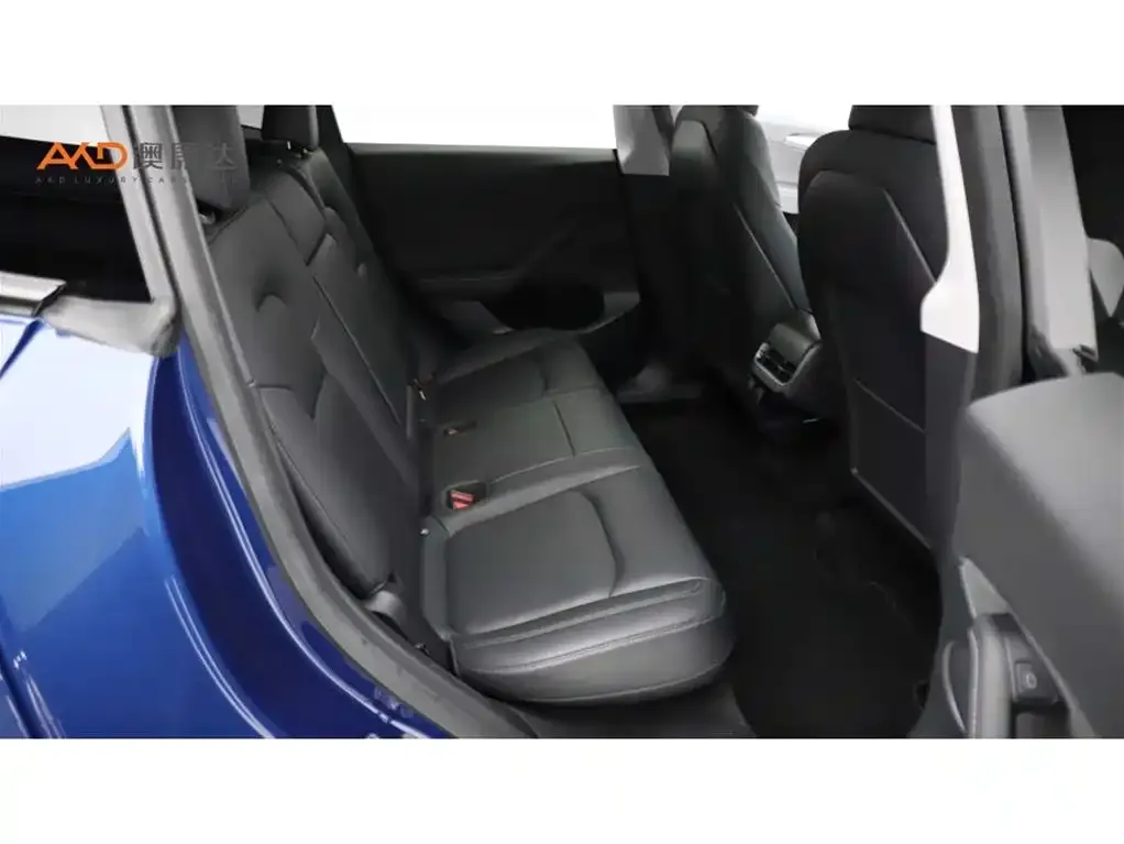 Tesla Model Y 2021 из CN, фото 8