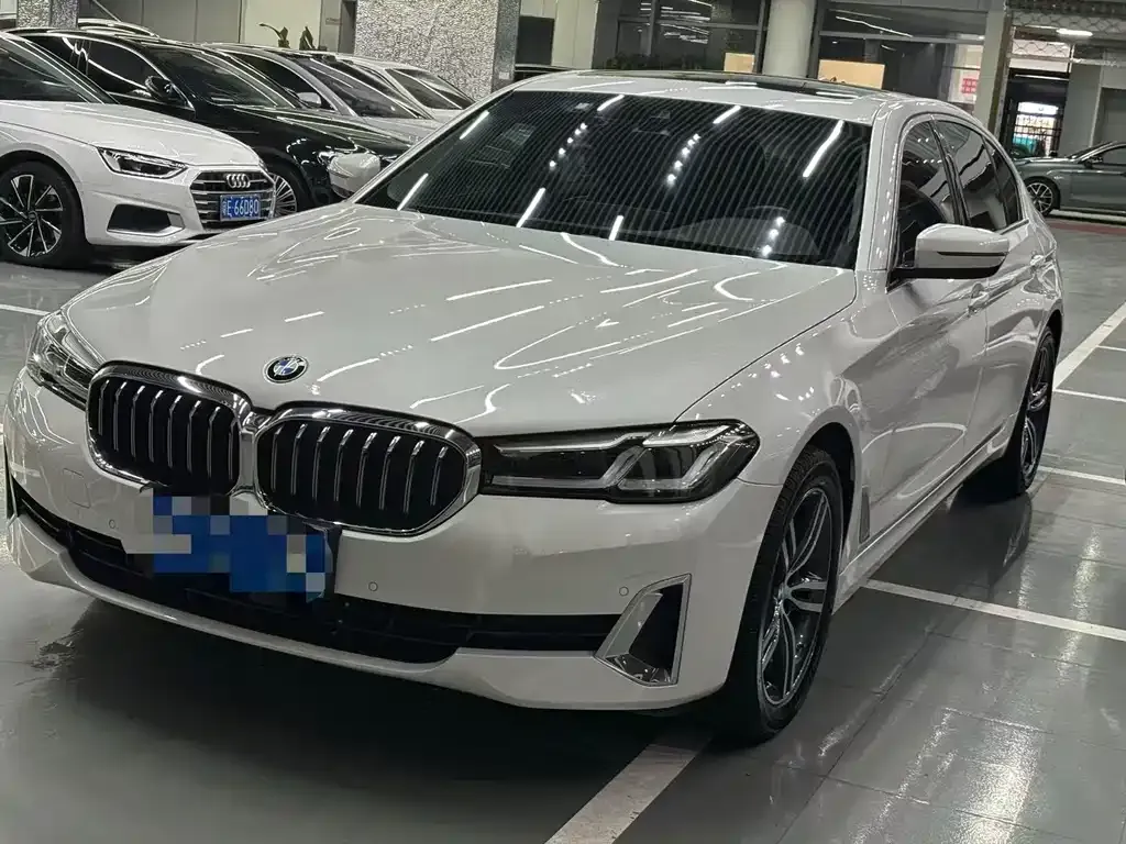 BMW 5 Series 2021 из CN, фото 1