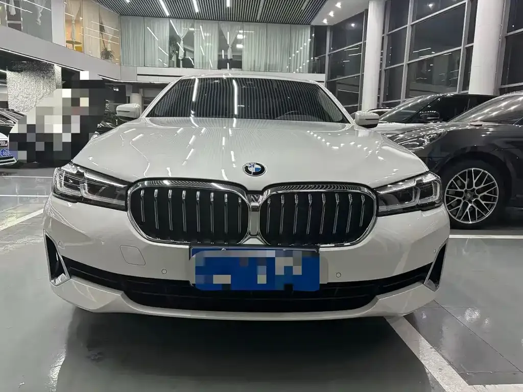 BMW 5 Series 2021 из CN, фото 3