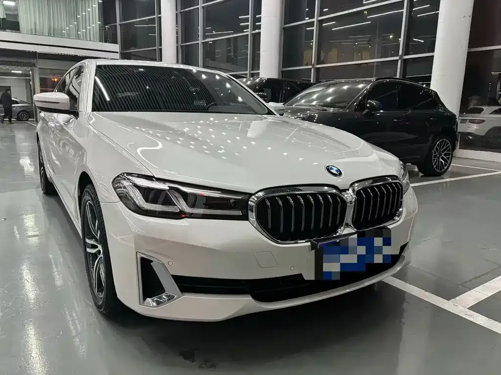 BMW 5 Series 2021 из CN, фото 10