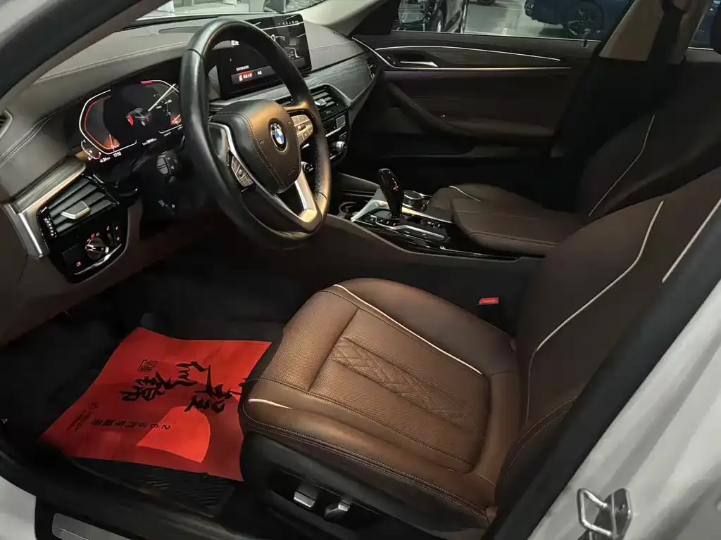 BMW 5 Series 2021 из CN, фото 8