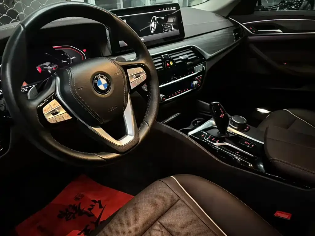 BMW 5 Series 2021 из CN, фото 7