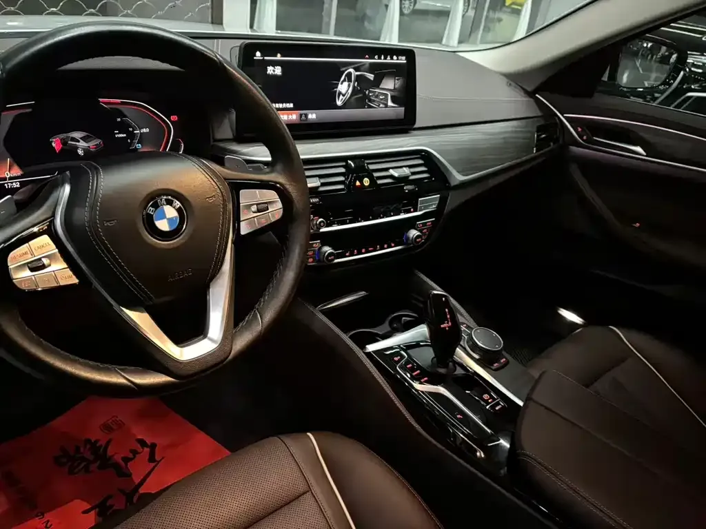 BMW 5 Series 2021 из CN, фото 5