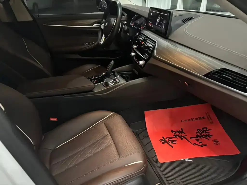 BMW 5 Series 2021 из CN, фото 9