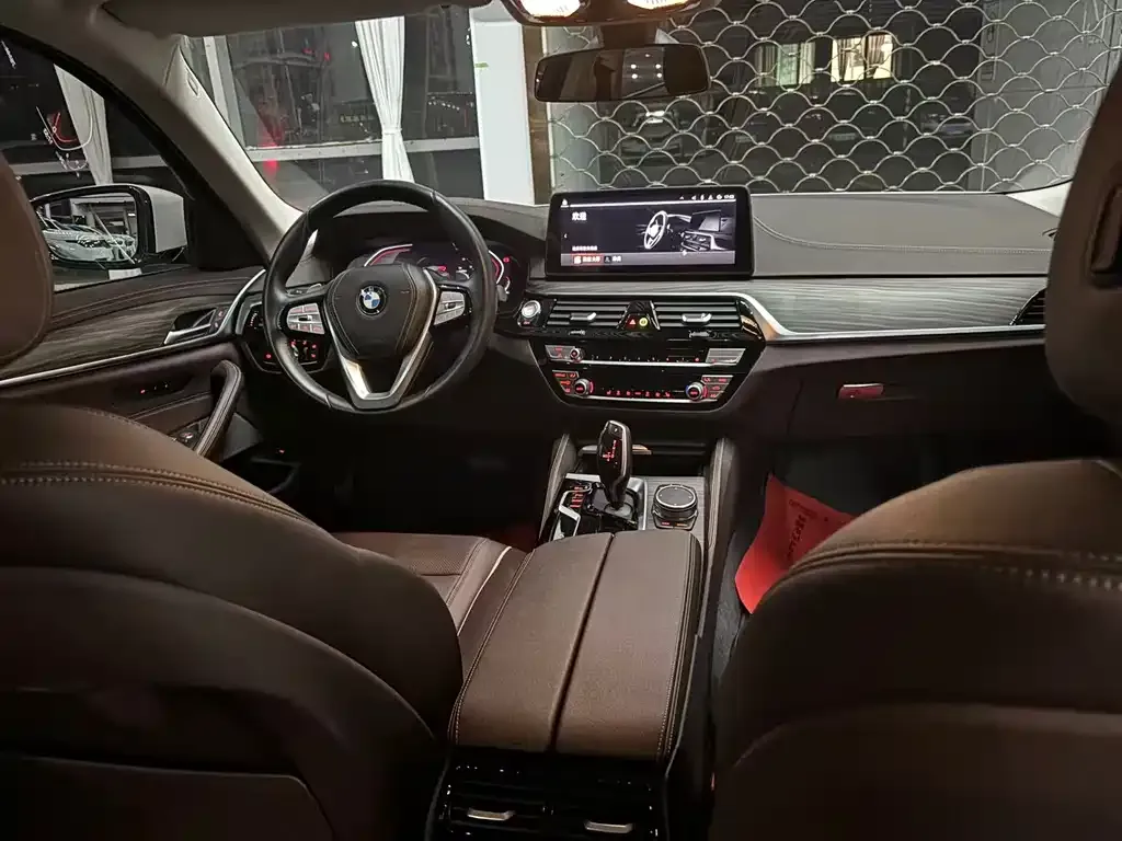 BMW 5 Series 2021 из CN, фото 6