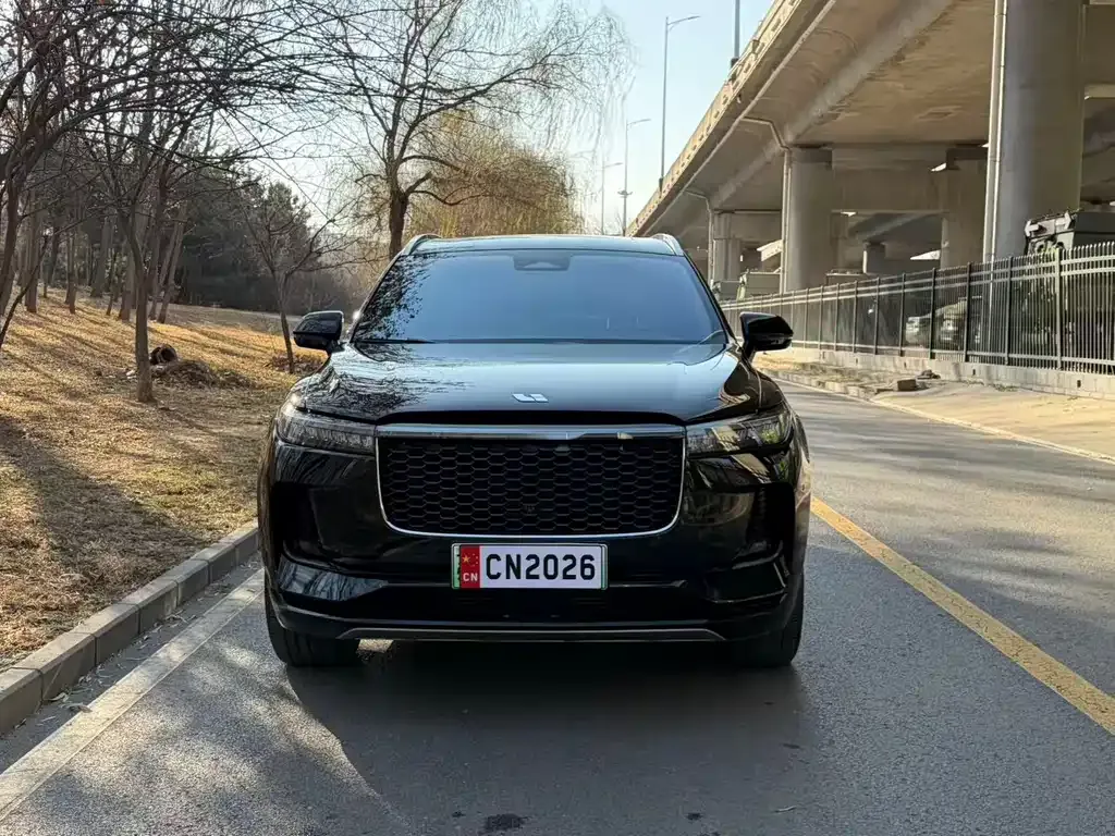 Li Auto ONE 2021 из CN, фото 4