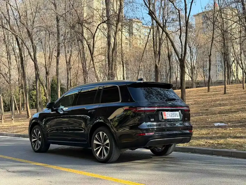 Li Auto ONE 2021 из CN, фото 5