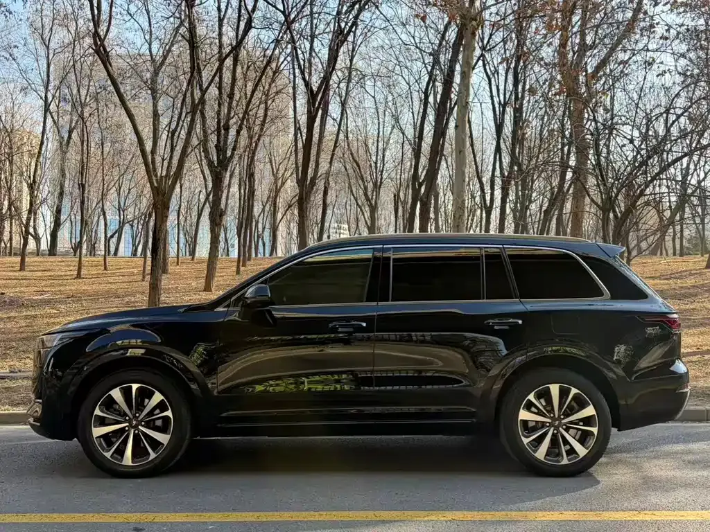 Li Auto ONE 2021 из CN, фото 7