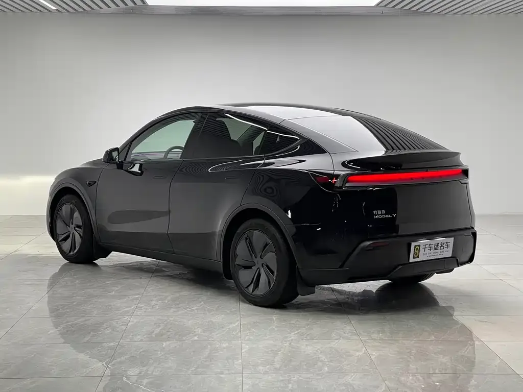 Tesla Model Y — фото 5
