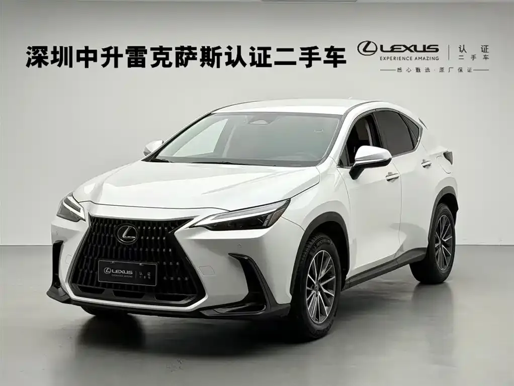 Lexus NX 2024 из CN, фото 1