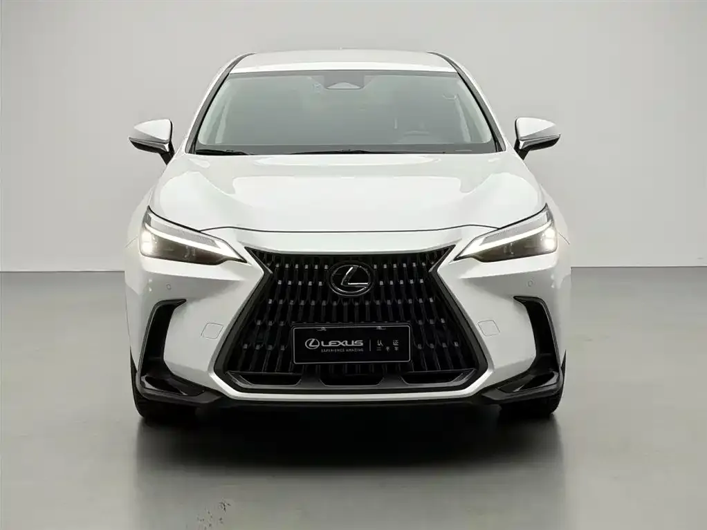Lexus NX 2024 из CN, фото 2