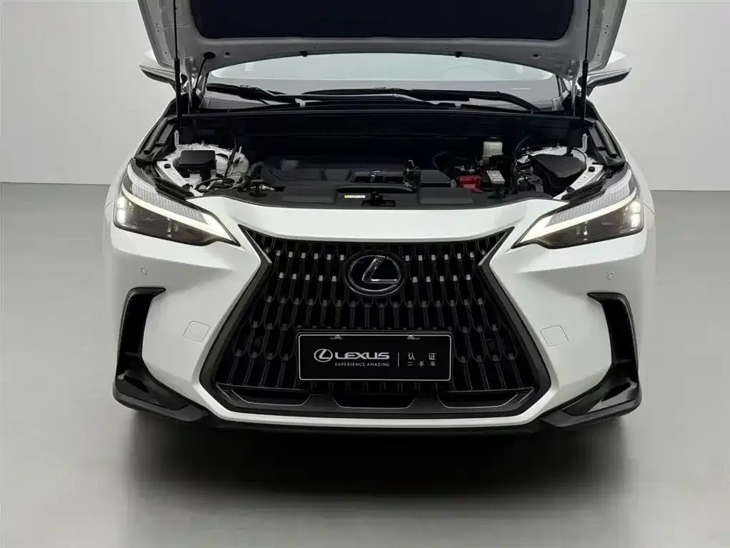 Lexus NX 2024 из CN, фото 5