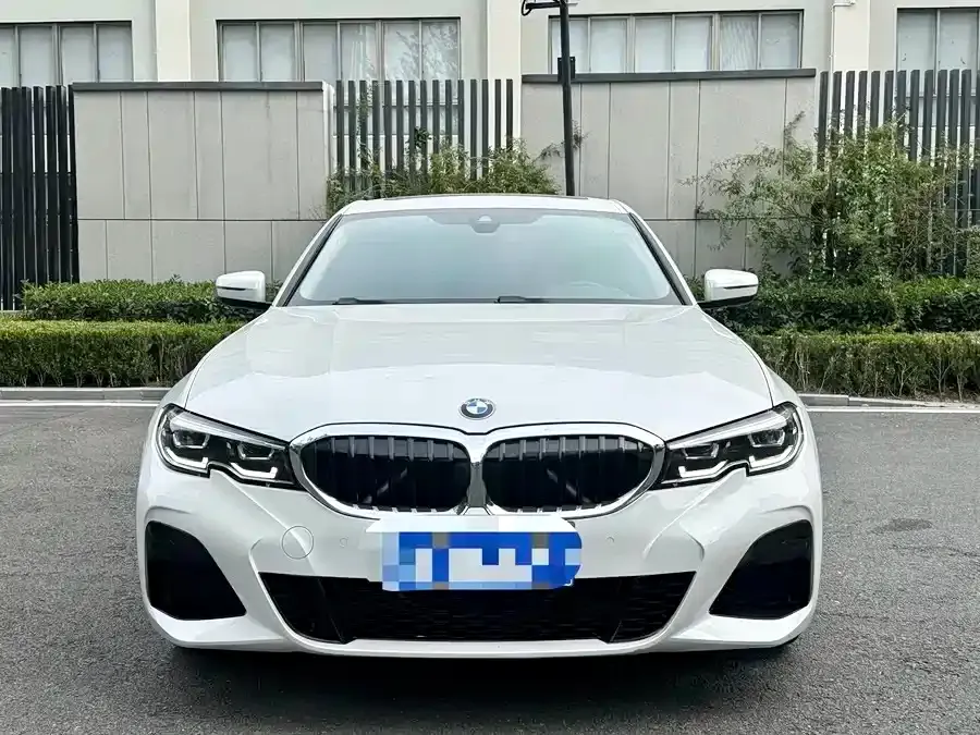 BMW 3 Series 2021 из CN, фото 6