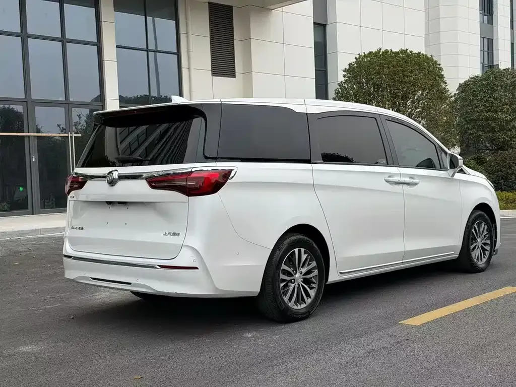Buick GL8 2023 из CN, фото 9