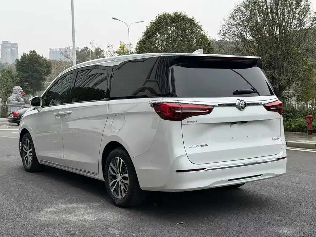 Buick GL8 2023 из CN, фото 8