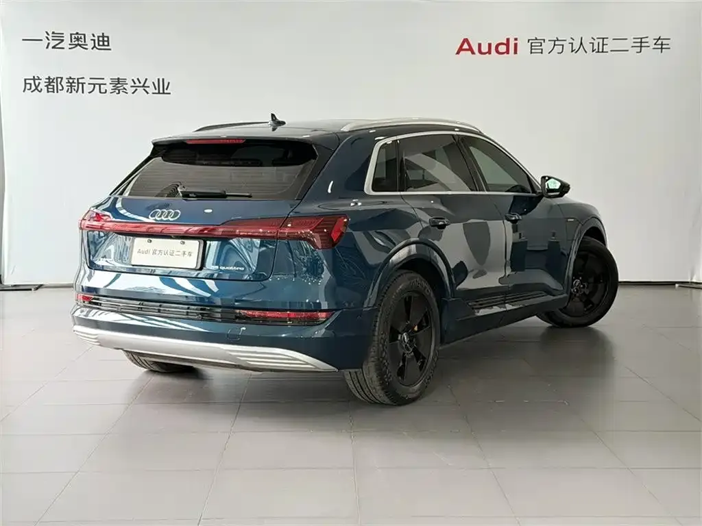 Audi e-tron (Import) 2022 из CN, фото 9
