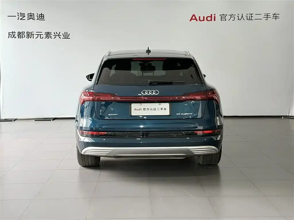 Audi e-tron (Import) 2022 из CN, фото 5