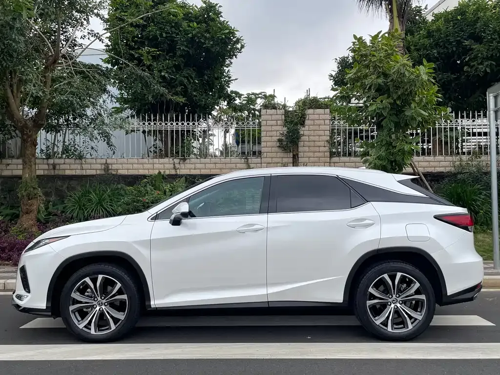 Lexus RX 2022 из CN, фото 6