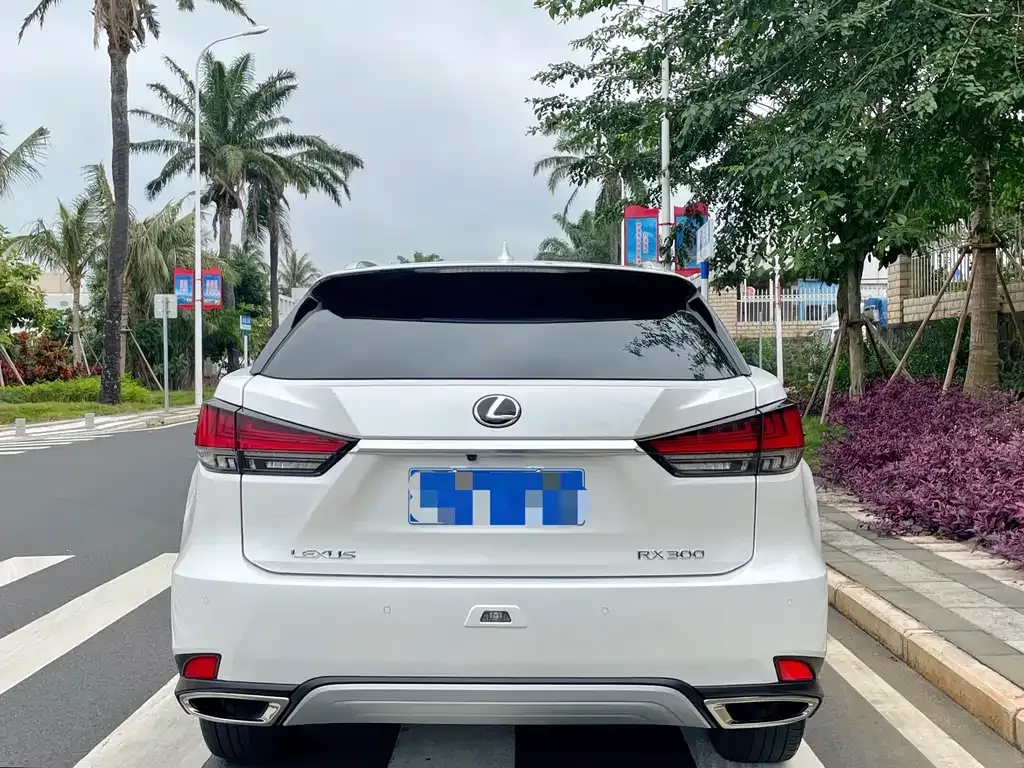Lexus RX 2022 из CN, фото 10