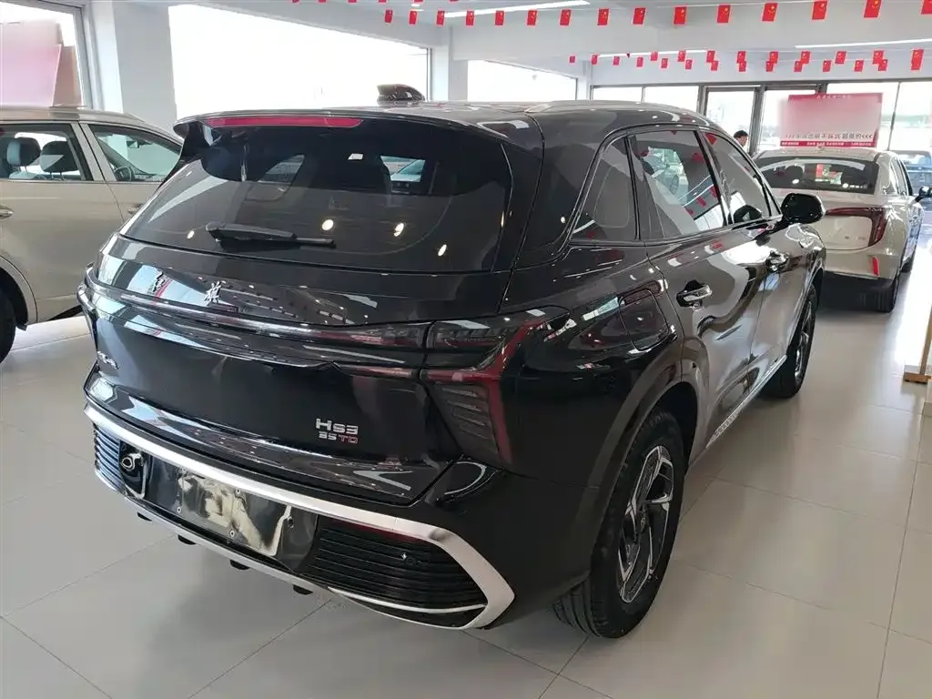 Hongqi HS3 2024 из CN, фото 7