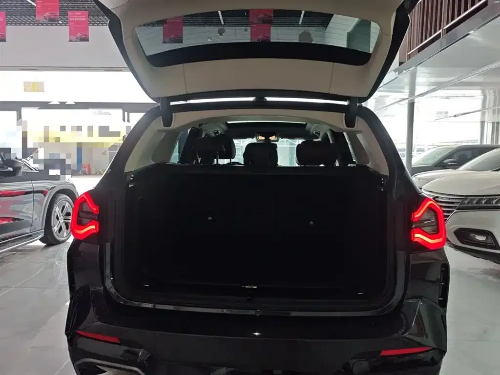 [object Object] iX3 2022 из CN, фото 9