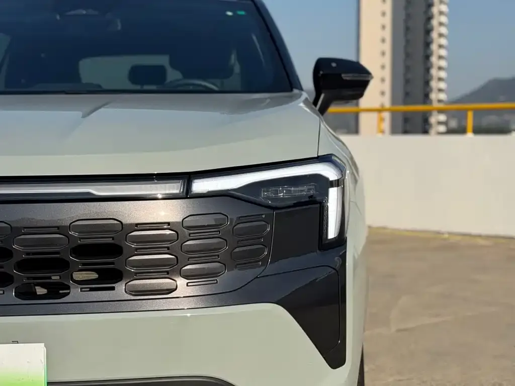 Ford Territory New Energy 2024 из CN, фото 4
