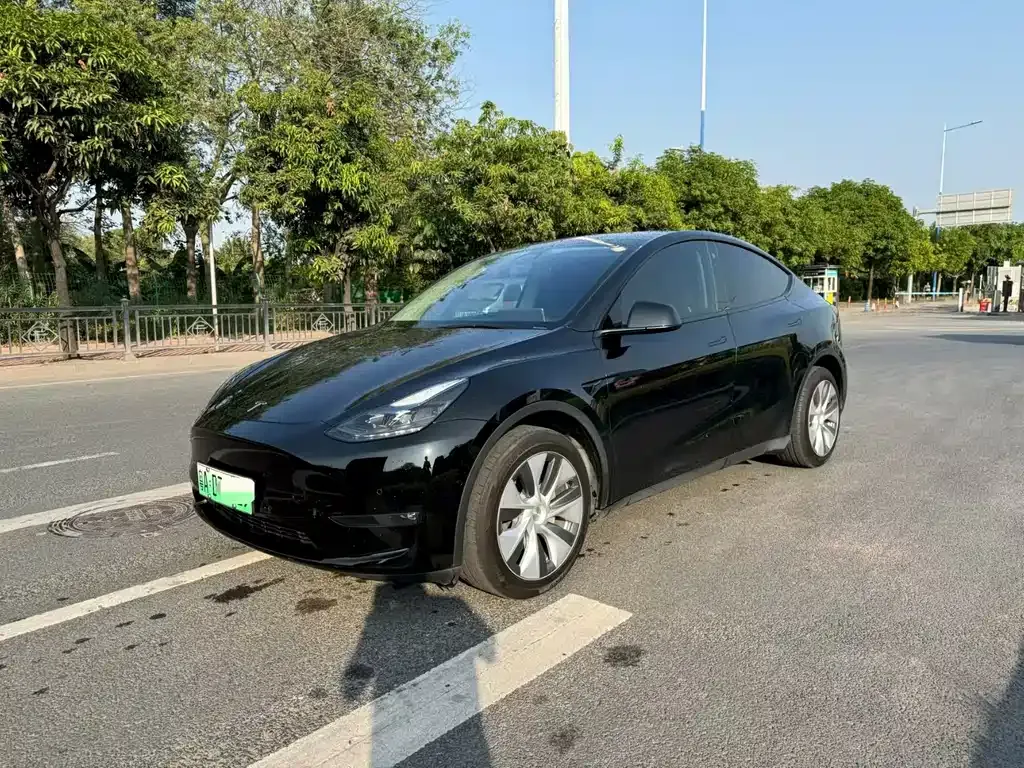 Tesla Model Y 2022 из CN, фото 1
