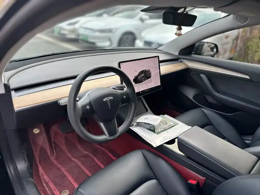 Tesla Model 3 2023 из CN, фото 5