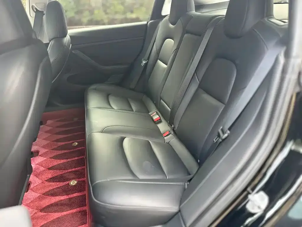 Tesla Model 3 2023 из CN, фото 2