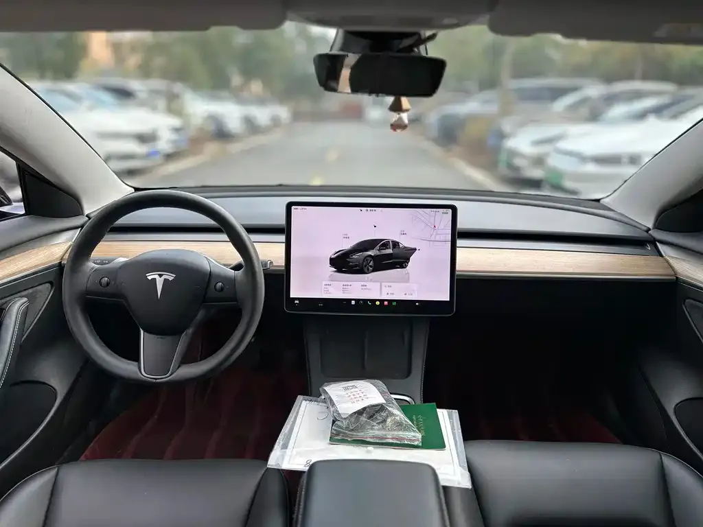 Tesla Model 3 2023 из CN, фото 4