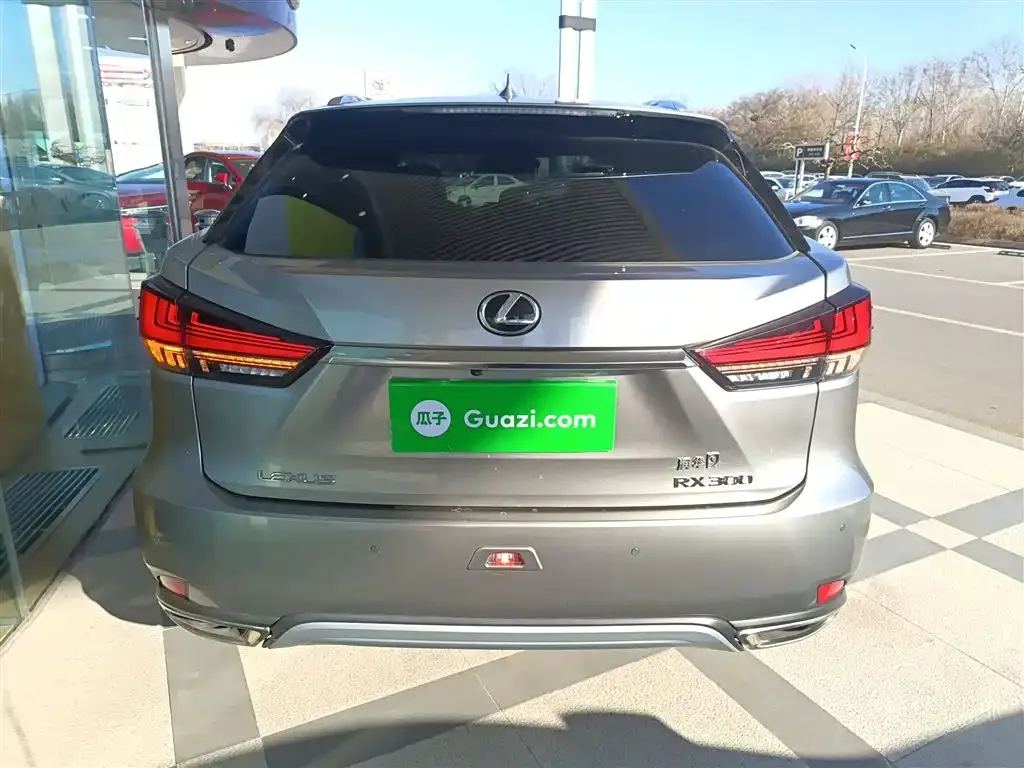 Lexus RX 2022 из CN, фото 8