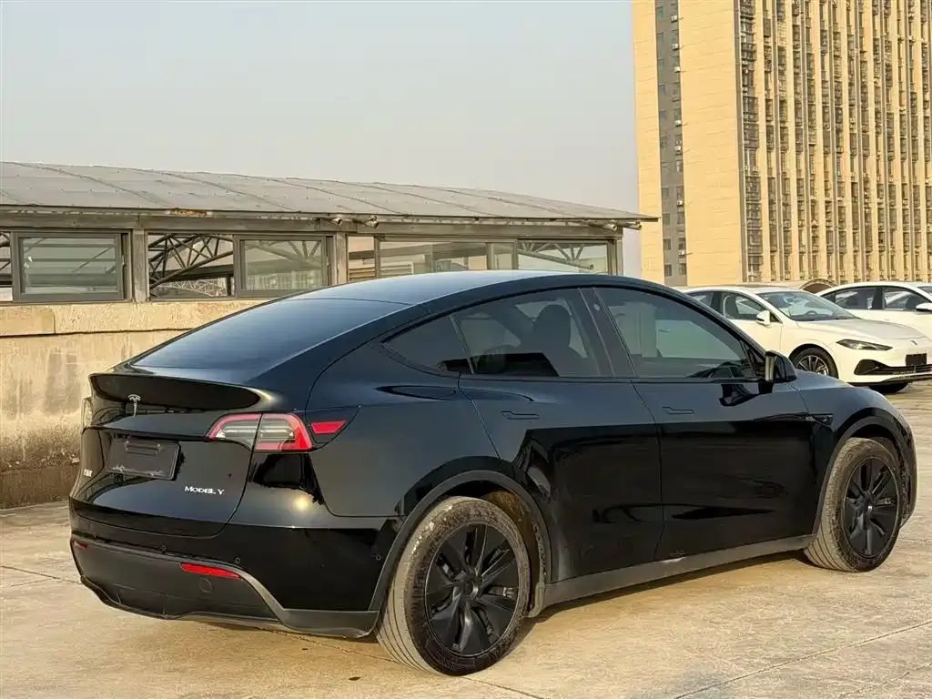 Tesla Model Y — фото 9