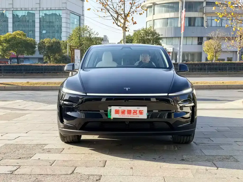 Tesla Model Y — фото 6